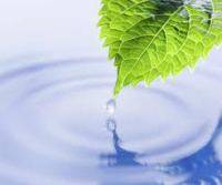 Ein gesundes und ausgeglichenes Ern�hrungssystem