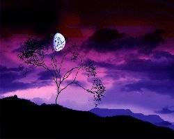 The Month of Repentance - II