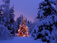 Weihnachten und Isl�m