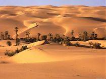 Sa��d ibn Dschubair