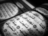 Der Qur�n � das Wort All�hs