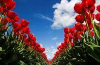 Bete All�h durch Heiraten an!- Teil 1