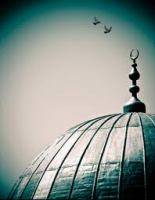 Vergebung und Toleranz im Isl�m