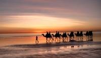 Ab� Hudhaifa ibn Utba - Der l�chelnde M�rtyrer