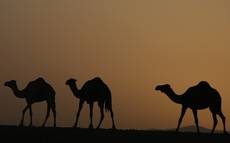 Utba ibn Ghazw�n - Der Langlebige von Basra