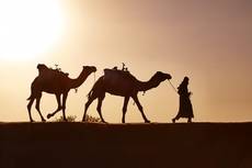 Rangstufen der ehrw�rdigen Propheten - Teil 1