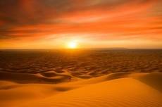 Abdull�h ibn Dschahsch - Der Verst�mmelte um All�hs willen