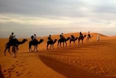 Safw�n ibn Umaiyya � Der bereuende Standhafte