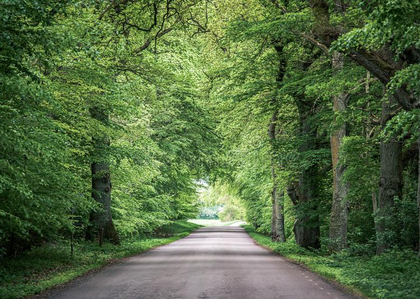 Unser Bed�rfnis nach Rechtleitung � Teil 3