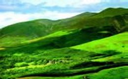 Ein Tor im Paradies � Rayy�n genannt