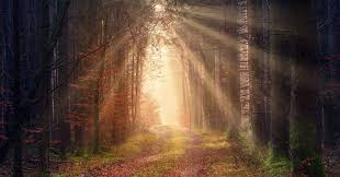 Softness of the Heart 