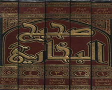 Authority of the Sunnah - I