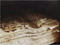 Entwicklung der Qur�n-Wissenschaften � Teil 2