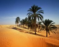 Feldz�ge vor Uhud - Teil 1