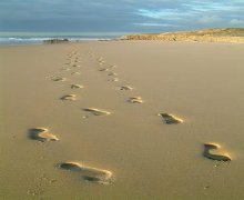 Lehren aus dem Eheleben Mose � Teil 1