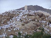 Araf�t-Tag